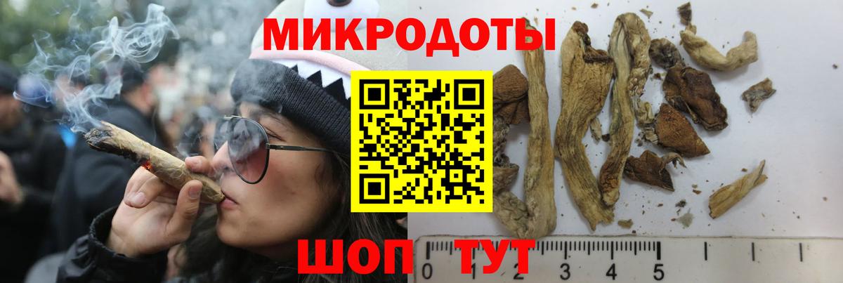 Псилоцибиновые грибы Psilocybine cubensis  Вход с VPN  Приморско-Ахтарск  Галлюциногенные грибы Magic Shrooms 